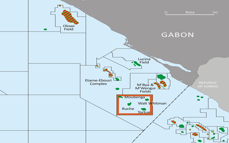 Oil Field Africa Review AEW 2022 Investors Scamper For Gabon S Oil   Gabon AEW 2022 Investors 